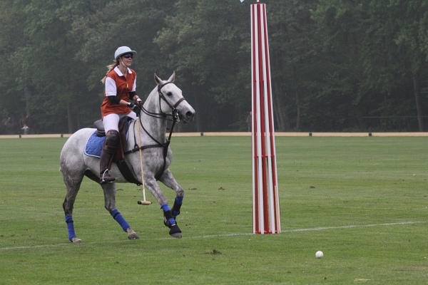 Polo_Art   119.jpg